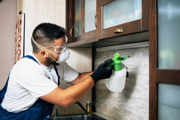 Pest Control Cost in Lady Lake, FL