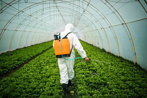 Best Affordable Pest Control Services  in Lady Lake, FL