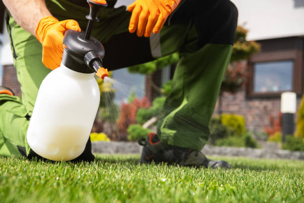 Best Affordable Pest Control Services  in Lady Lake, FL