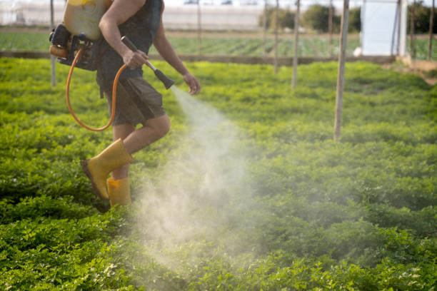 Best Best Pest Control Companies  in Lady Lake, FL