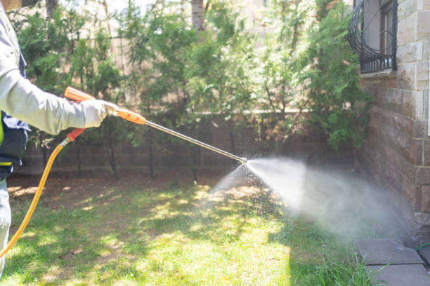 Best Termite Control Services  in Lady Lake, FL