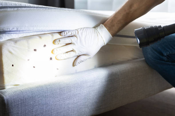 Lady Lake, FL Pest Control Company