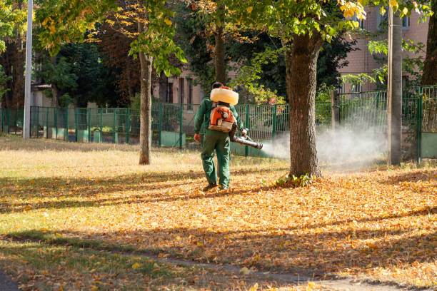 Best Wildlife Control Services  in Lady Lake, FL