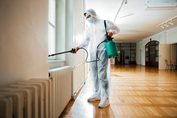Best Local Pest Control Services  in Lady Lake, FL