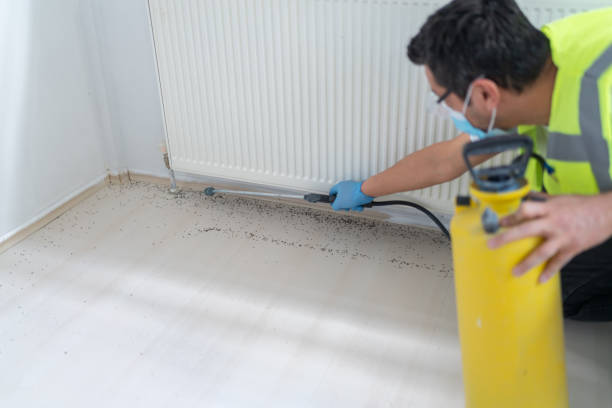 Best Emergency Pest Control  in Lady Lake, FL