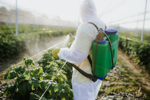 Best Pest Removal Services  in Lady Lake, FL